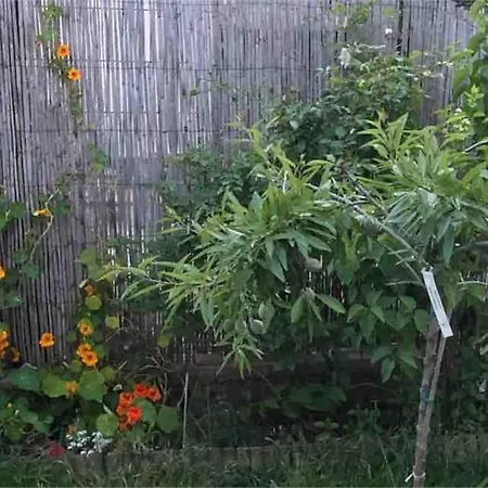 Maison Classee Meuble 3 Etoiles, Proche Mer. Feriehus Sainte-Maxime